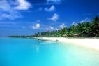 image_7469